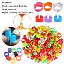 Foot Rings Chick Duck Birds Quail Pigeons Parrots Leg Click Clips Rings