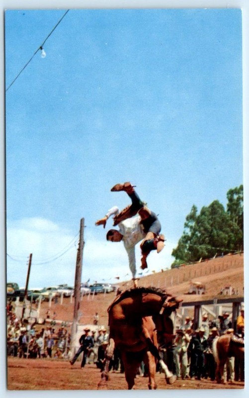 ALAMEDA COUNTY, CA ~ RAY KOHRS Leaving BRONC "CASEY" Sheriff's Rodeo c1950s