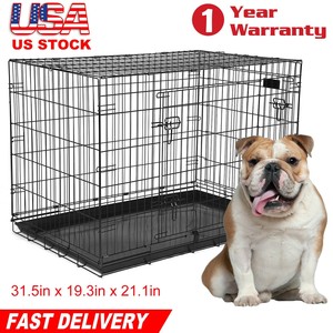 kong medium dog crate