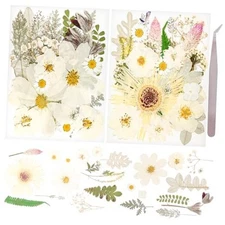 50Pcs Dried Pressed Flowers Real Pressed Flowers Natural Dry Leaves Bulk White