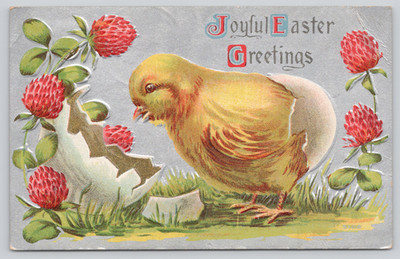 Postcard Joyful Easter Greetings Large Chick Hatching Red Clover Silver Embossed