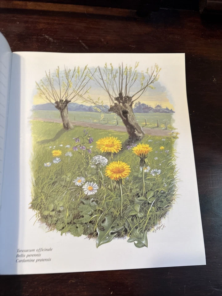 Vintage Permin Kalender Calendar 1984 FLORAL Cross Stitch Patterns Danish - Image 3 of 4