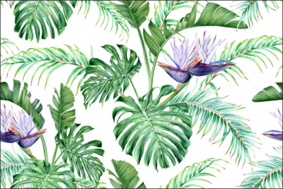 VINYL Fototapete XXL TAPETE Blätter Monstera 520