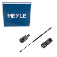 Meyle HeckklappendäMpfer DäMpfer FüR Renault Scenic I Megane Scenic 7700828454