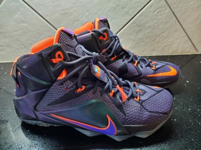 lebron 12 instinct
