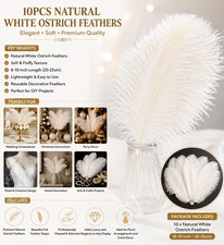 10Pcs Bulk Natural White Ostrich Feathers,8-10 inch (20-25cm) Beautiful Long Fea