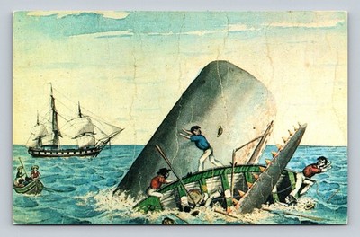 New Bedford Whaling Museum 'Stove Boat' Whale Attack Vintage Postcard