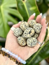 Dalmatian Jasper Tumbled Crystal Stones, 1/2 inch to 2 inch, Grade AAA 