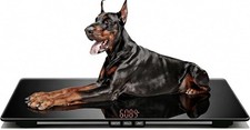Extra Large Dog Scale - 220lbs Heavy Duty, Tempered Glass 31.5" Scale