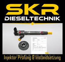 Bosch Einspritzdüse Injektor 0445110251 Volvo 30731567 30637375 30750 0986435125