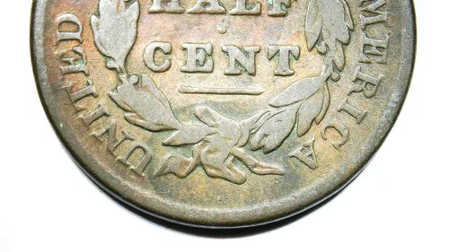 1829 Classic Head Half Cent - 第 6/6 張圖片
