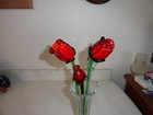 Bild 7 von 13