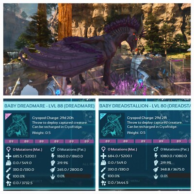 ARK ASCENDED PVE OFFICIAL PAIR BABY DREADMARE/DREADSTALLION FULL #89 PC/XBOX/PS5