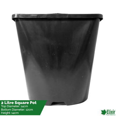 Square Plant Pot 2 Litre Strong Black Plastic Hydroponic Grow Pots x 10 ...