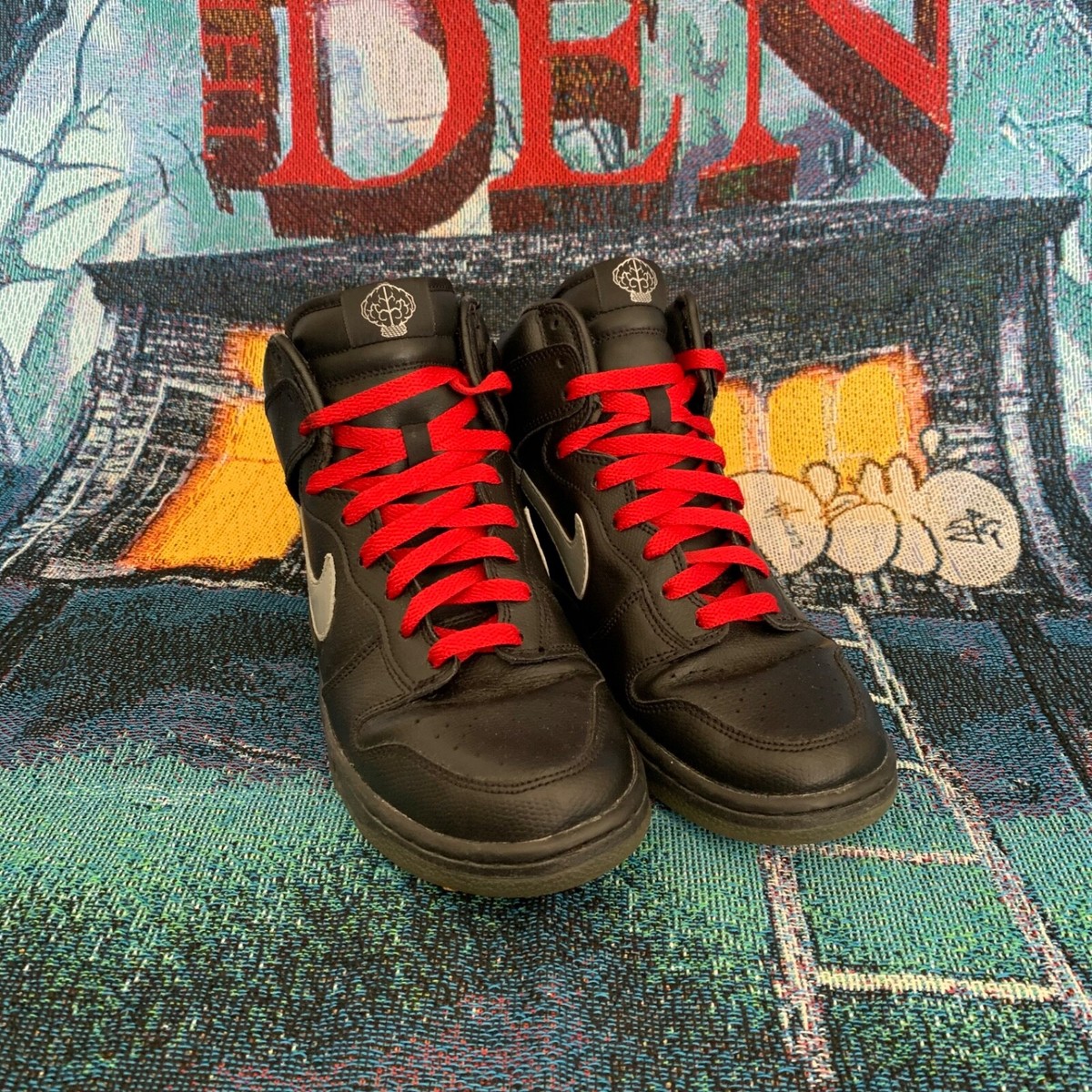 Nike x Pharrell Williams NERD N*E*R*D Dunk Hi Brain Logo 15