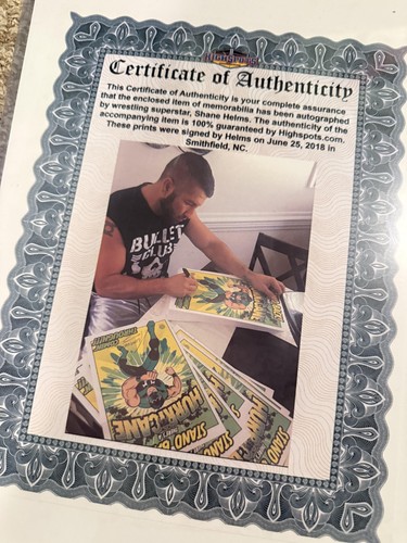 Shane Helms Hurricane Signed Art Print Autograph COA WWE Poster - Picture 6 of 6