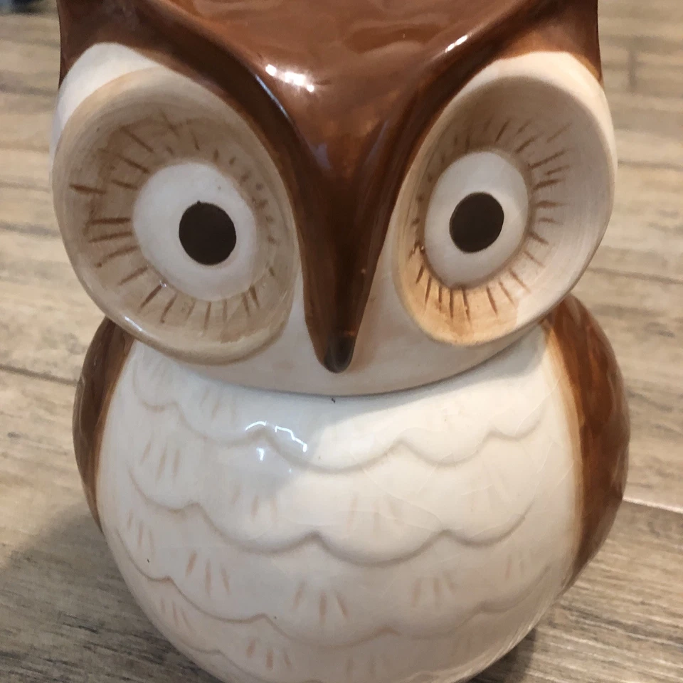 Tarro de galletas World Market Owl 8”T 5”W marrón blanco arte cerámica utensilios de cocina Foto 2 de 4