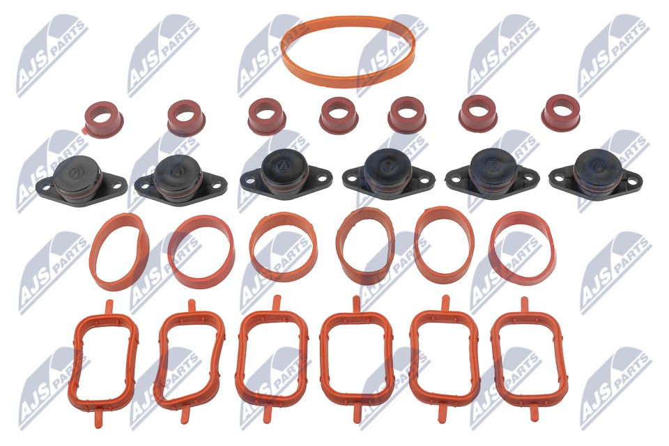 N.T.Y. BKS-BM-012A.NTY Intake Manifold Module for BMW