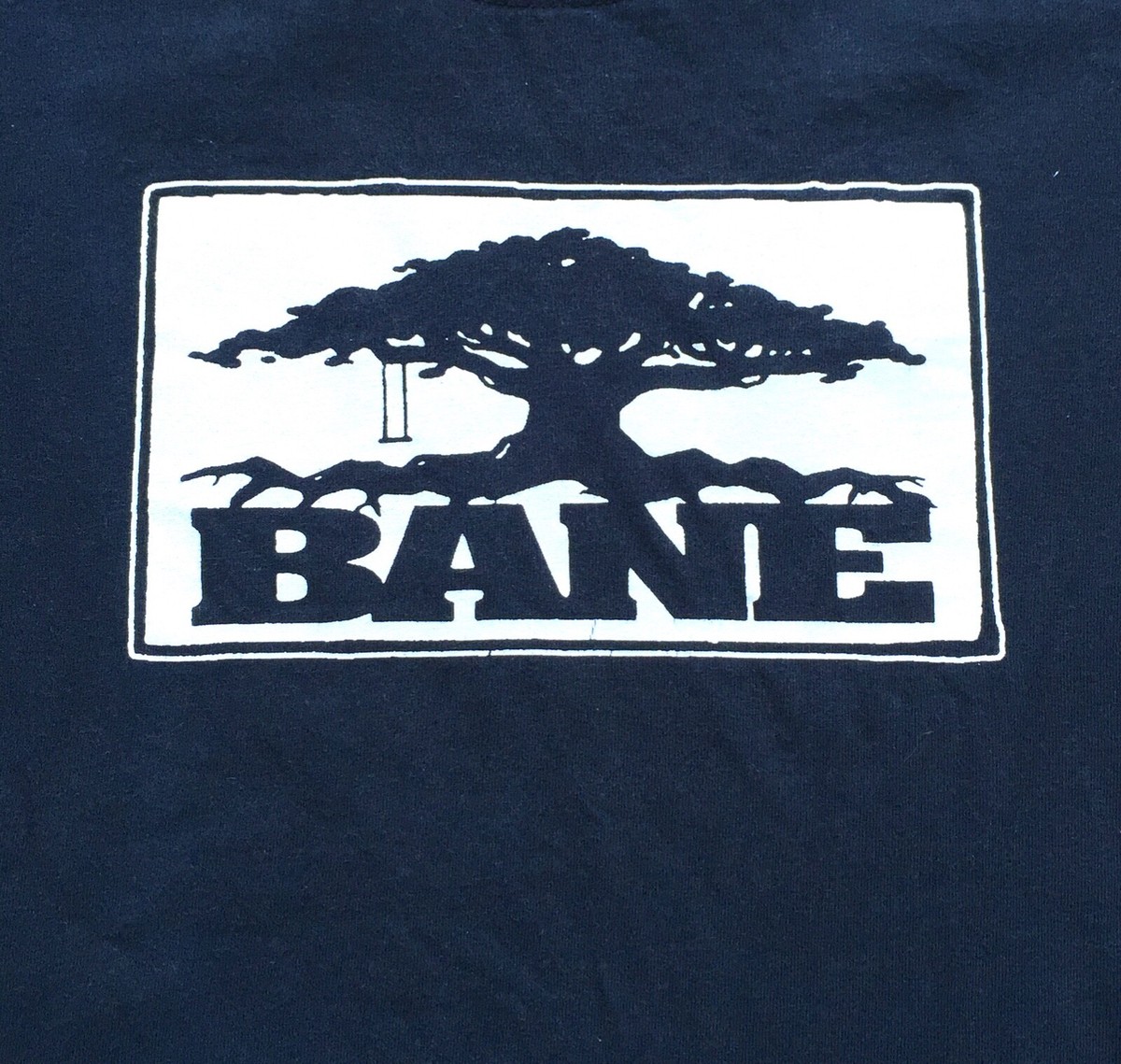 Vtg 90s Y2K Bane T Shirt Hardcore Band Concert Distressed
