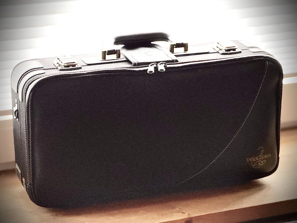 NUEVO Saxofón Soprano Yanagisawa SC-WO20 con accesorios completos Foto 3 de 4