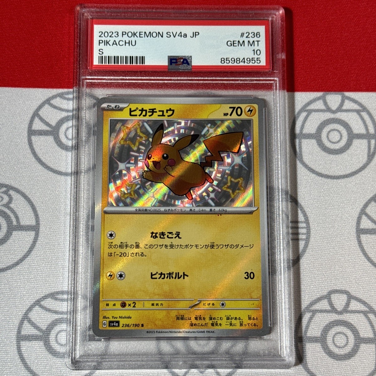 PSA 10 Pikachu Baby Shiny Treasure S #236 2023 Pokemon SV4a PSA 10 Pikachu Baby Shiny Treasure S #236 2023 Pokemon SV4a