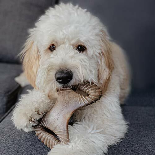 Benebone Dental Dog Chew Toy for Aggressive Chewers, Long Lasting, Made in