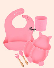 5 Piece kids Silicone Feeding Set/ 5 Teiliges Silikon Kinder Geschirr set
