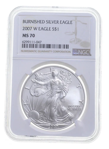 MS70 2007 W BURNISHED SILVER EAGLE NGC CLASSIC BROWN LABEL *5622