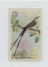 1922 Scissor-Tailed Flycatcher #29 05ct