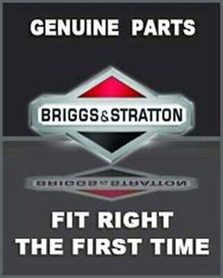 Genuine Briggs & Stratton 795387 & 391086S Oil Seal Set OEM 
