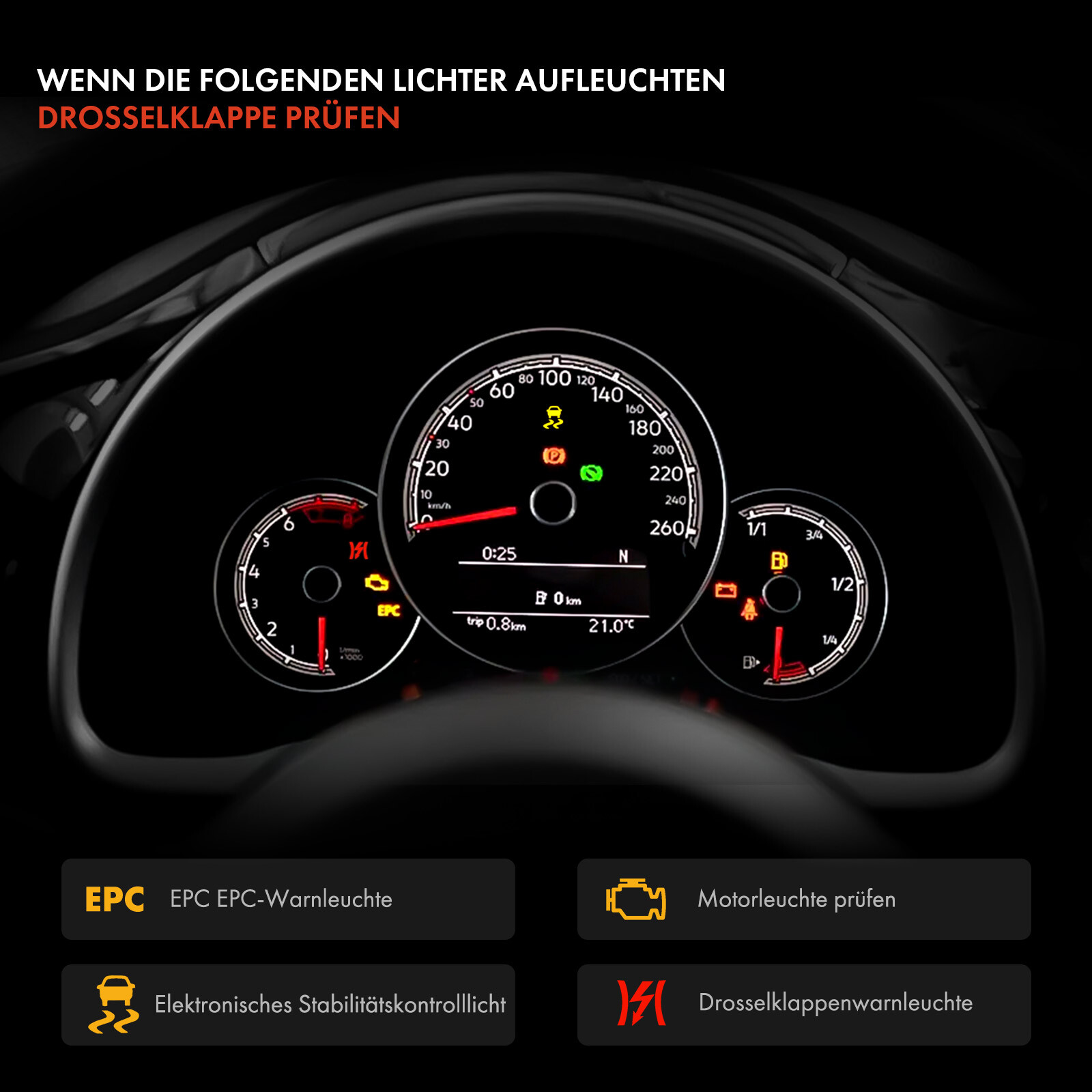 Bild 8 von 8