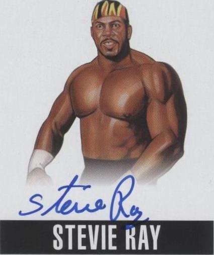 2014 Leaf Originals Wrestling - Stevie Ray #SR1 - 1 of 1
