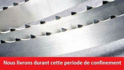 Lame De Scie à Ruban 2240x6.35x0.35mm - TPI 6, Acier SK5, Pour Metabo BAS317, Makita LB1200F, Etc.