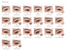 COSME DECORTE Eye Glow Gem Skin Shadow 6g Japan