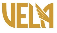 Carlos Vela,Los Angeles fC,Vinyl Decal,Sticker for Cars,Windows,Laptops and more