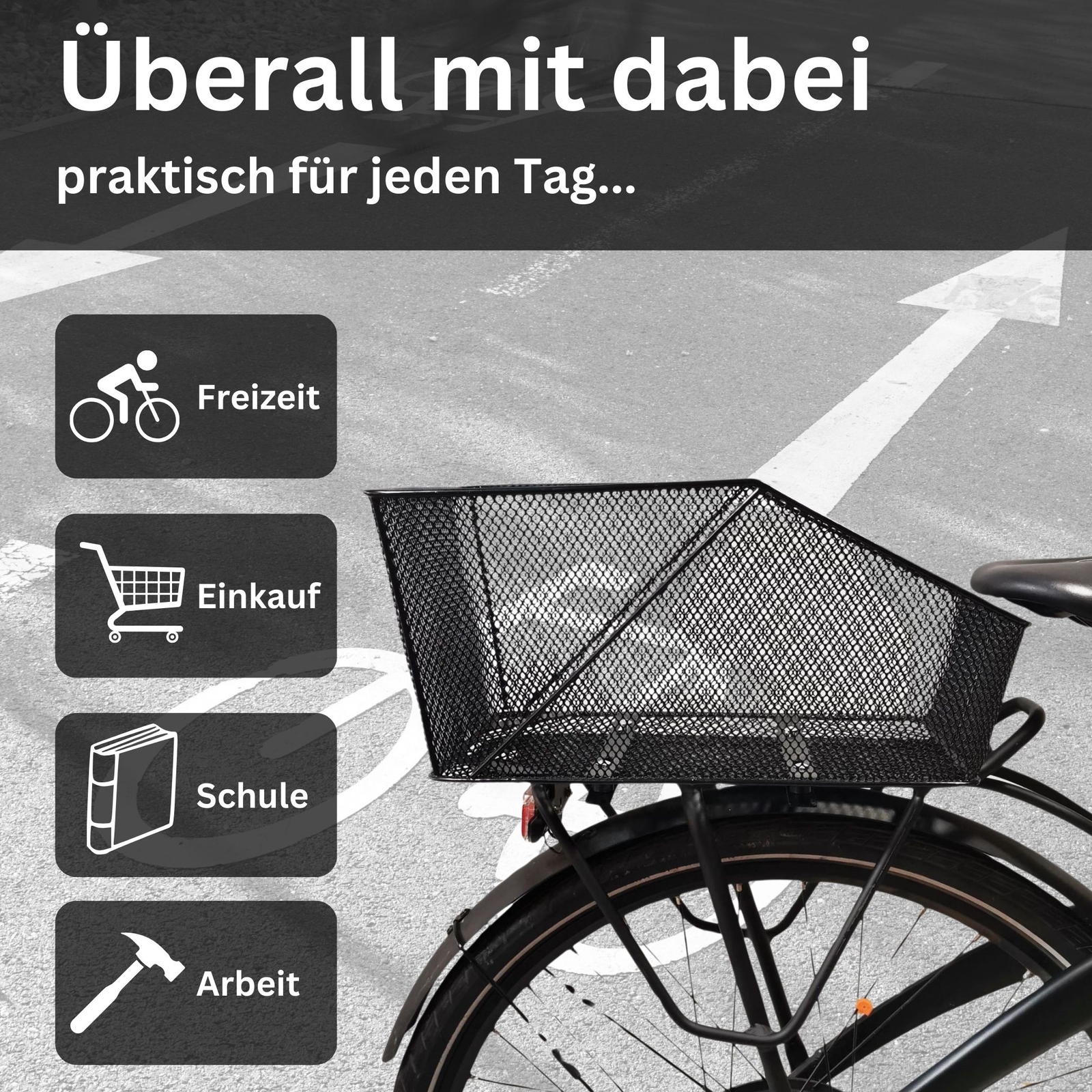 Bild 3 von 6