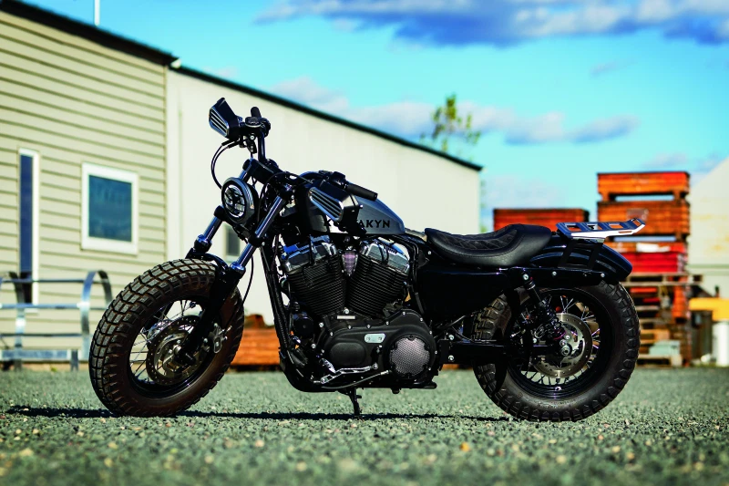 Kuryakyn Dillinger Luggage Rack for Harley Davidson Sportster Models - Image 4 of 4