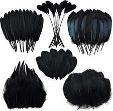 Craft Feathers 180pcs in Mixed Styles for DIY Projects  Weddings
