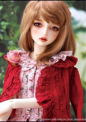 VOLKS - 新品　SDGr 女の子 Sophie ソフィー PINK HOUSE ドール Volks Super Dollfie SDGr Sophie PINK HOUSE #PGHLDQ | eBay