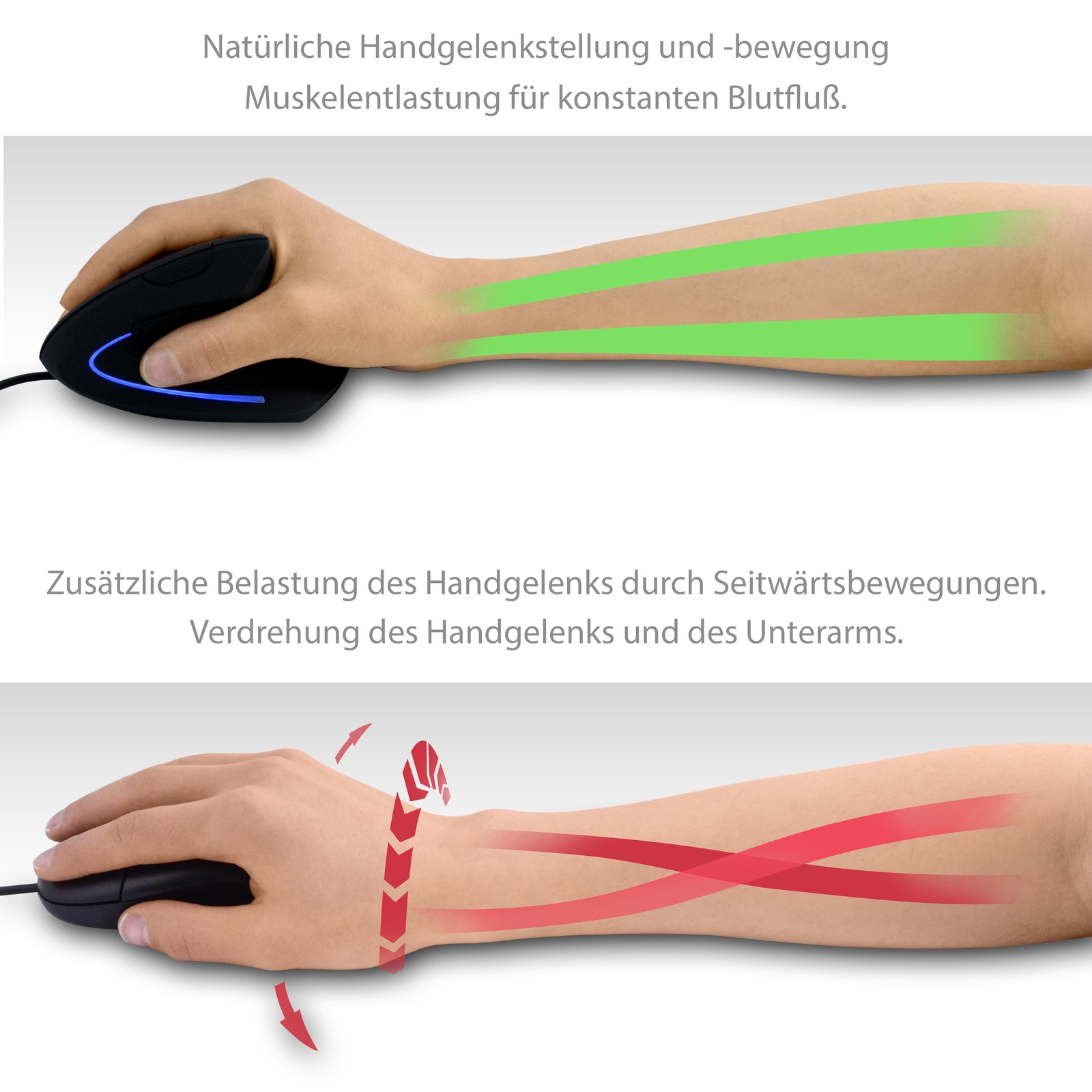 Bild 5 von 5
