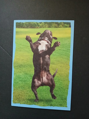 Happy Dog Father's Day Card Here Comes A Big Hug Just For You