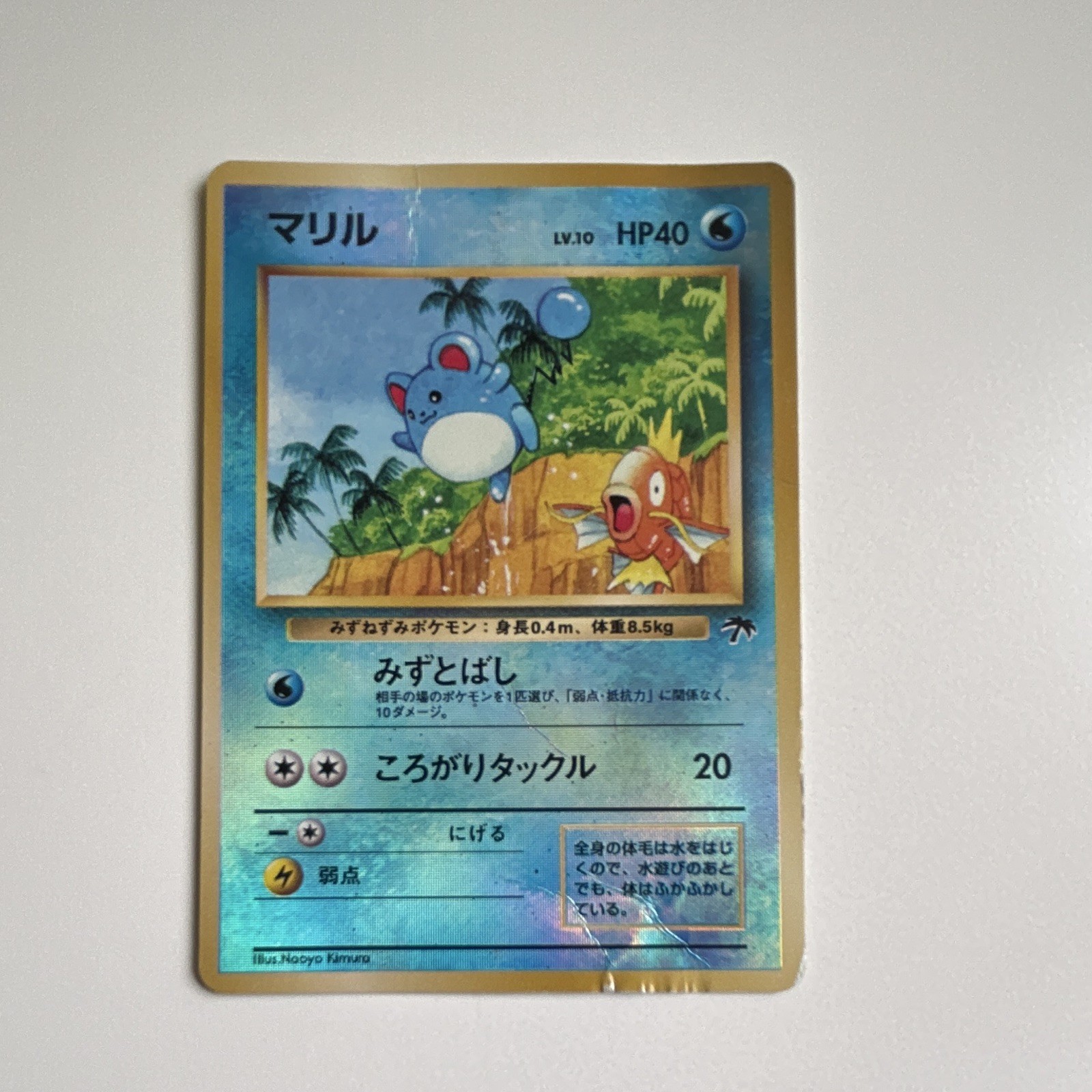 1999 Pokemon -Marill 11/18 Southern Islands Reverse Holo Promo Japanese