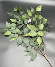 Ficus Branch Floral Stem Hobby Lobby 26" x 15" 738690