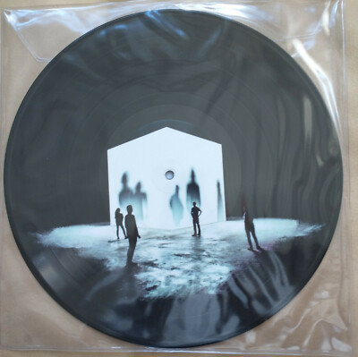 ARCHIVE - THE FALSE FOUNDATION - VINYL - Rare Picture