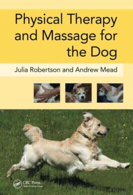 Physical Therapy and Massage for the Dog - Image 4