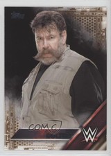2016 Topps WWE Tag Team Championship Bronze Zeb Colter #49 Patch Tag 0t0