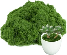 Fake Green Moss for Potted Plants,Artificial Moss for Crafts Indoor,DIY Table De