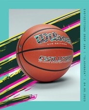 Wilson Evolution Basketball 29.5 Evo Editions Slashback Rare 1/200