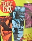 Stray Cats: Live at Montreux 1981 NEW DVD,Concert,15 Tracks Rock this Town,Strut