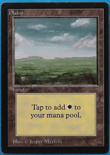 Plains (C Dark) Beta PLD Basic Land MAGIC GATHERING CARD (ID# 505250) ABUGames - Picture 1 of 2